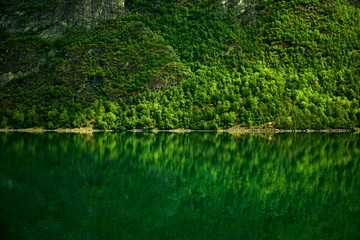 travelling norwegian fjord nature by cruise ship