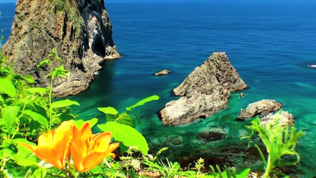 Zoom out of island Takeshi and blooming flowers,  Japan