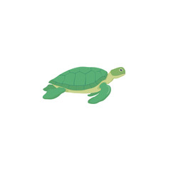 Sea turtle isolated vector illustration
