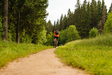 cyclist rides along a forest path