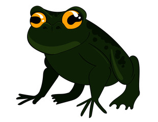Cane Toad