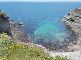 Coastal path Seaview - Cornish Blue Seas