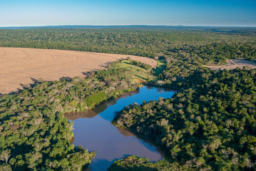 Fototapeta na wymiar Agricultural border and Atlantic Rainforest in southern Brazil.