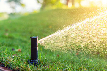Close-up automatic garden watering system with different sprinklers installed under turf. Landscape...