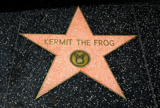 Kermit the Frog Star