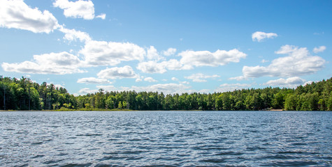 landscape with lake, blue sky and beatiful green trees