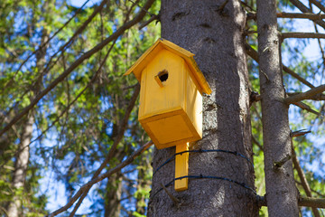 Old yellow birdhouse on a tree, bird care. Close-up