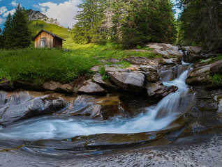 river in the forest
