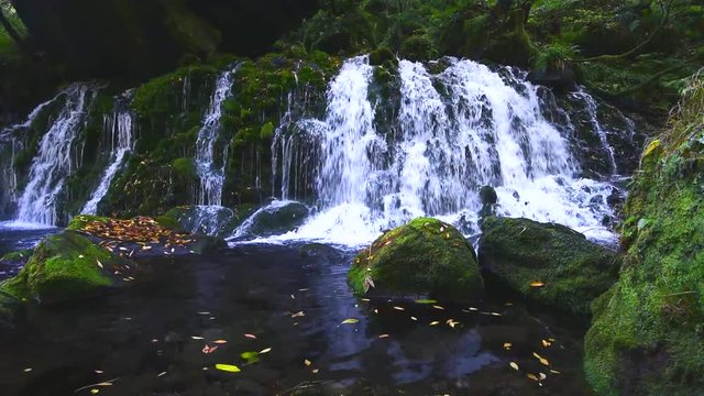 View of autumn at waterfall, Nikaho, Akita, Japan