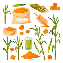 Sugar cane plant and leaves vector illustration. Brown sugar in sack, bowl, spoon. Hand drawn isolated design elements.