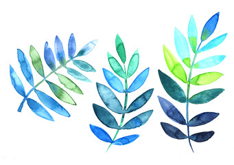 branches with green and blue leaves