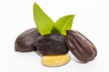 Jojoba oil on seeds isolated on white background
