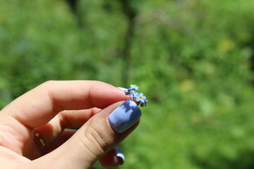 blue butterfly on a hand