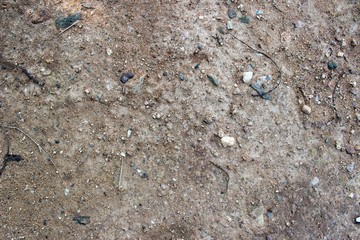 Sand texture with stones. Sandy road