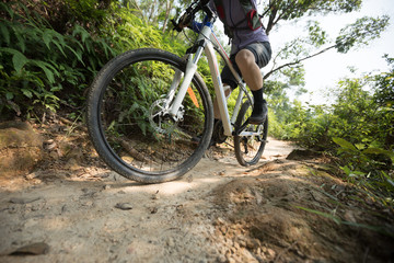 Naklejka na ściany i meble Cross country biking riding mountain bike in the action on tropical rainforest trail