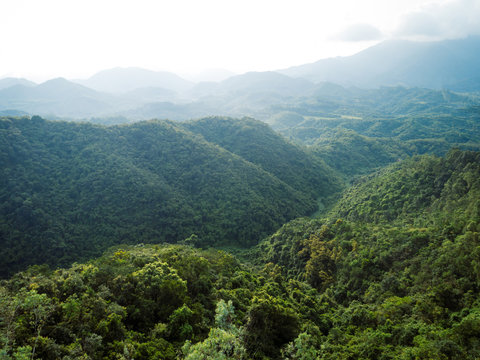 Aerial view of mountains with green dense tropical rainforests and morning fog © lzf