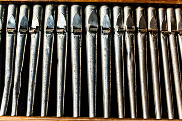 Canne di organo