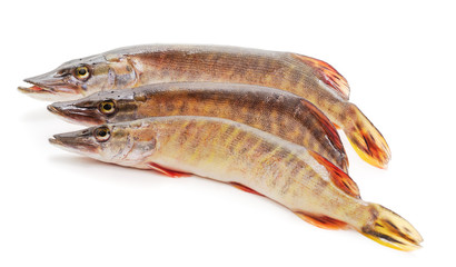 Three big pike.
