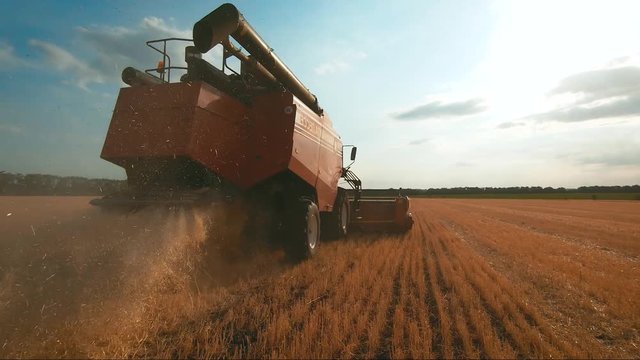 Combine harvester gathers the wheat crop. Wheat harvesting shears. Combines in the field Food industry concept.
