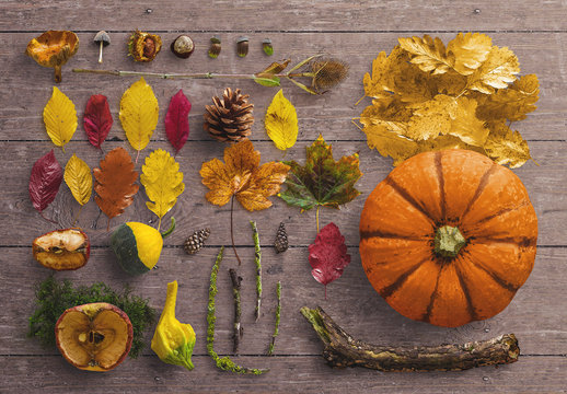 Fall Scene Creator with Natural Elements