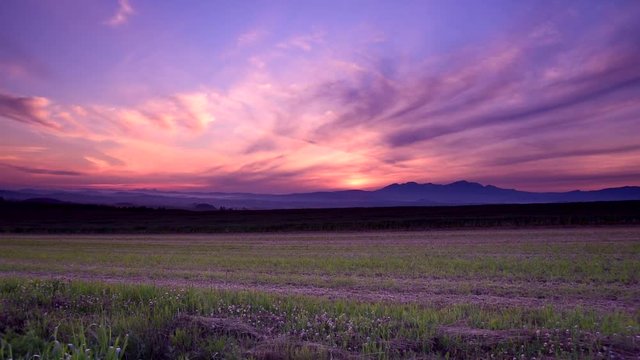 Vast Summer Meadow At Purple Dawn