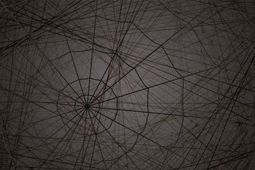 concentric white web on a gray background