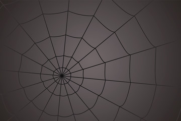 concentric white web on a gray background