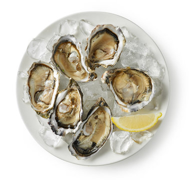 Plate Of Fresh Oysters On White Background