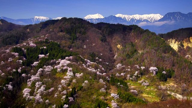 Sakurasen Gorge in spring, Ikeda, Kita Azumi, Nagano