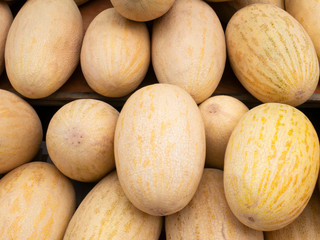 Ripe melons are sold on the market. Sale of melons in the grocery store on the tray.