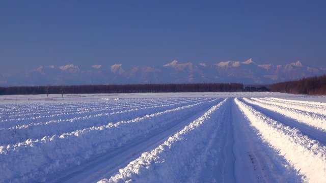 View of winter day on field, Sarabetsu, Kasai, Hokkaido, Japan