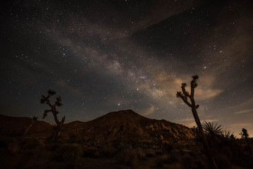 Night Photos from Joshua Tree National Park