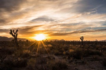 Sunset Photos from Joshua Tree National Park