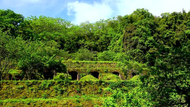 Overgrown Iwami Ginzan Silver Mine in summer