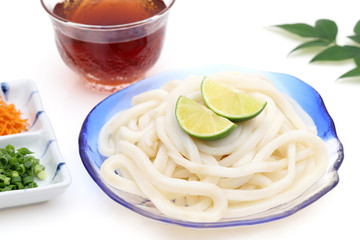 うどん　冷やしうどん