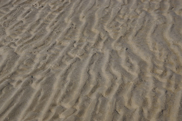 Rippeln im Sandwatt bei Ebbe