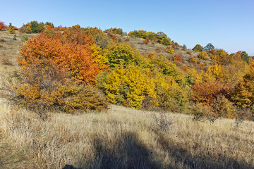 Fototapeta premium Landscape of Cherna Gora mountain, Bulgaria
