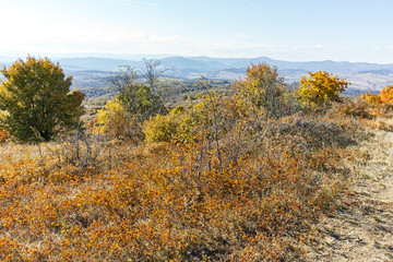 Landscape of Cherna Gora mountain, Bulgaria