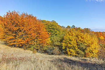Fototapeta na wymiar Landscape of Cherna Gora mountain, Bulgaria