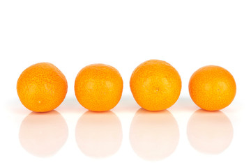 Group of four whole fresh orange kumquat in a row isolated on white background