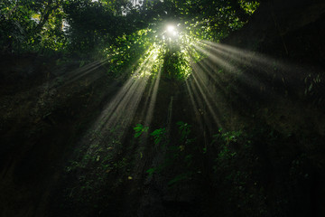 Fototapeta na wymiar Beautiful sun light rays shining through cave and leaves