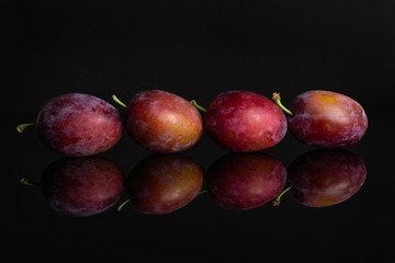Group of four whole fresh blue plum in a row isolated on black glass
