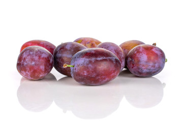 Lot of whole fresh blue plum isolated on white background