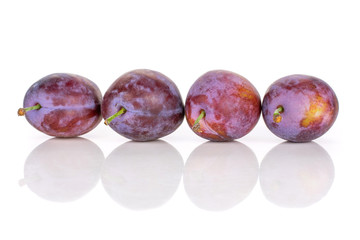 Group of four whole fresh blue plum in a row isolated on white background