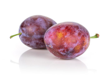 Group of two whole fresh blue plum close together isolated on white background