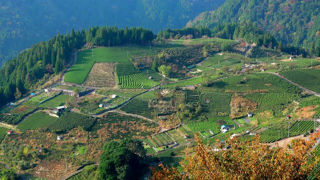 View of fields on plateau, Kamiga Ryu, Kamogawa Town, Gamagor