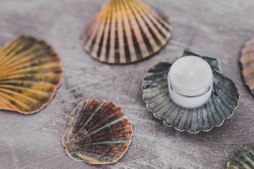 moisturizer on top of sea shell beauty products with natural ingredients