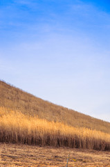 Mountain landscape scenery in autumn