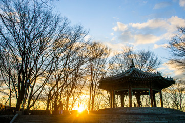 Pavilion in park