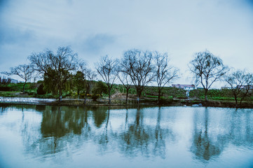 Landscape with river in spring